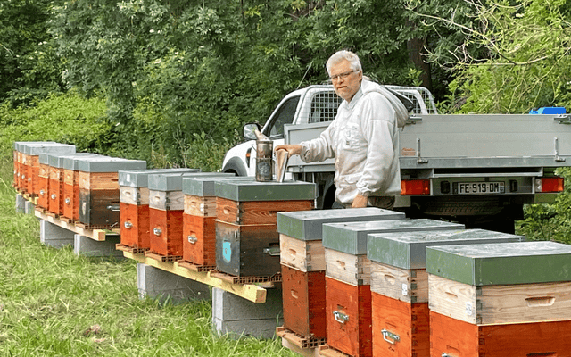 Installation d’un rucher – choisir l’emplacement des ruches