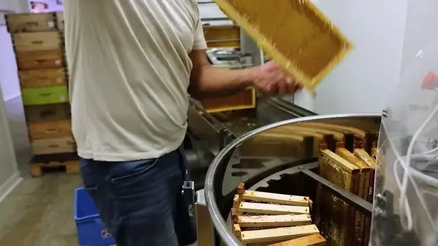 À la miellerie, chargement des cadres de miel dans un extracteur