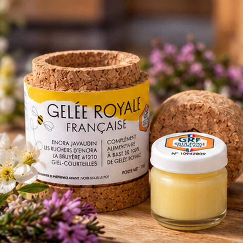 Gelée royale française fraîche – 10 g – Les Ruchers d’Enora (Orne)