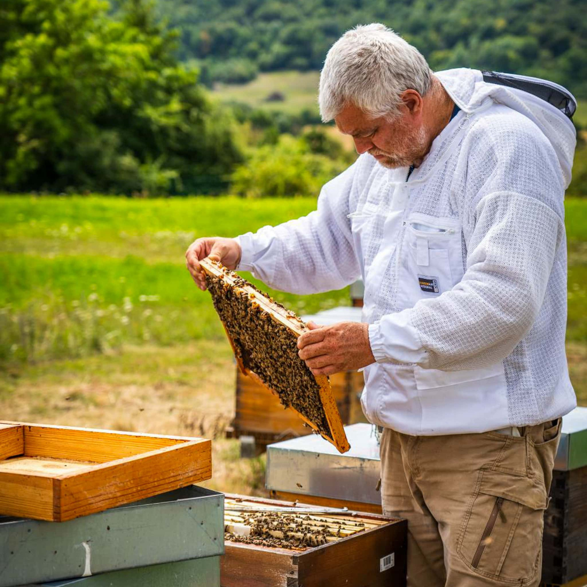 Samuel Fedorawiez au travail dans ses ruchers de Normandie