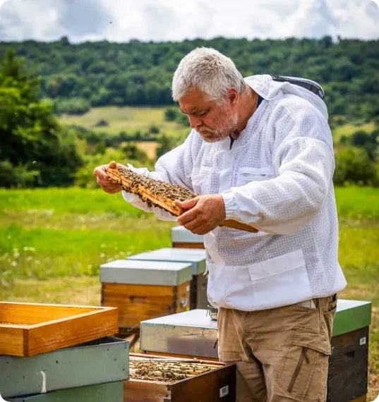 Samuel Fedorawiez, apiculteur en Normandie