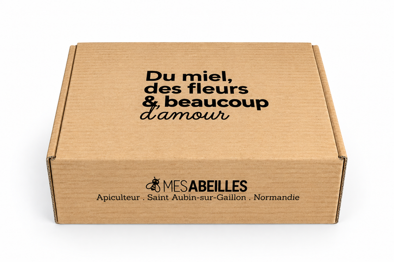 Coffret découverte MesAbeilles fermé, coffret kraft