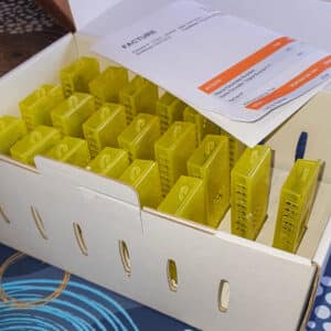 cagette d'introduction pour reine fécondée buckfast