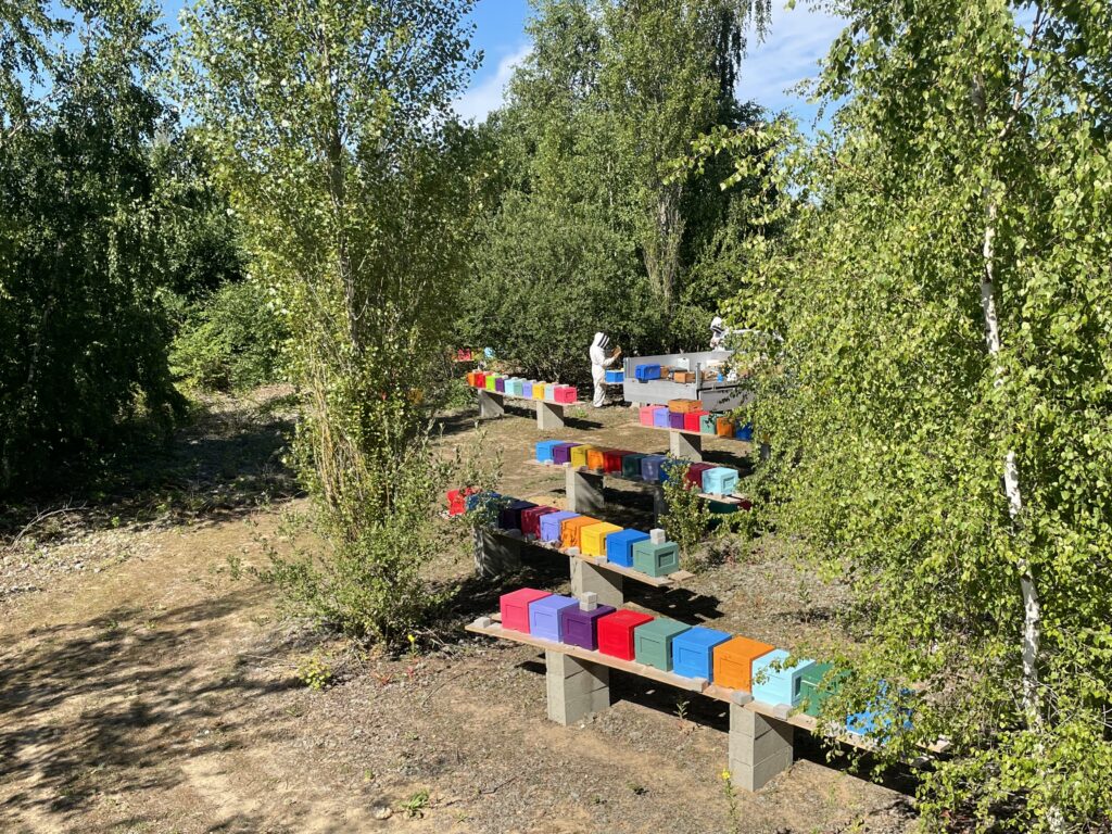 rucher de fecondation