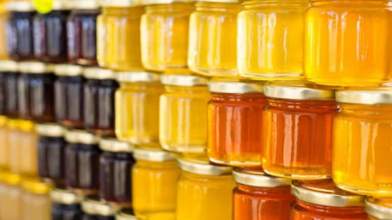 Quels sont les différents types de miel en France ?